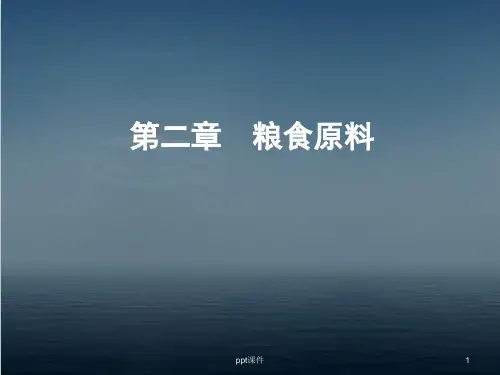 食品原料学--粮食原料  ppt课件