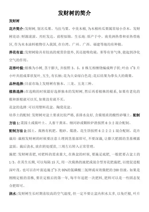发财树的简介