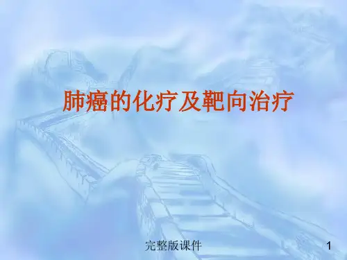 肺癌的常用化疗方案ppt课件