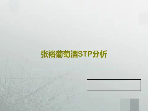 张裕葡萄酒STP分析共22页