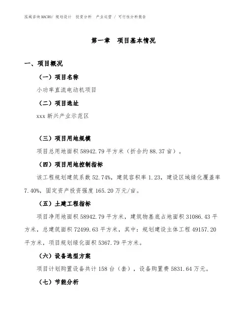 小功率直流电动机项目可行性分析报告