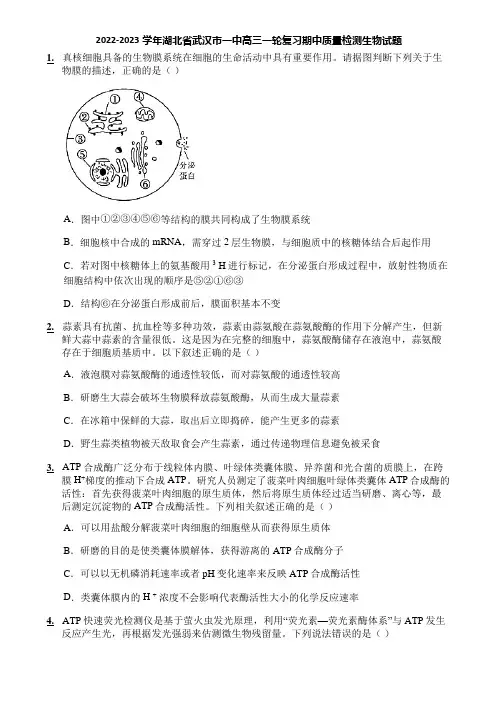 2022-2023学年湖北省武汉市一中高三一轮复习期中质量检测生物试题