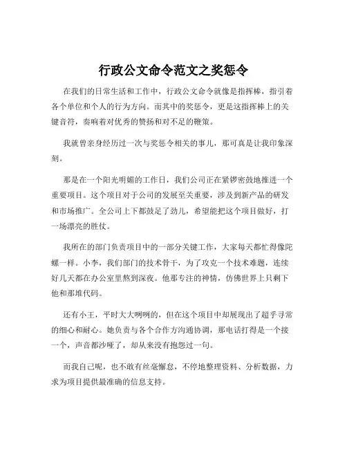 行政公文命令范文之奖惩令