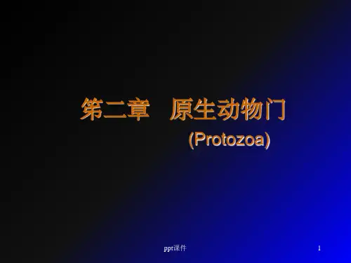 《原生动物门》PPT课件