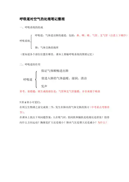呼吸道对空气的处理笔记整理 (1)