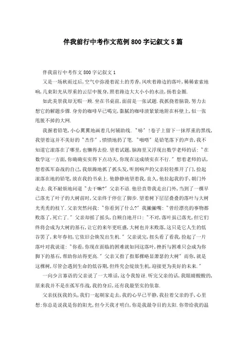 伴我前行中考作文范例800字记叙文5篇