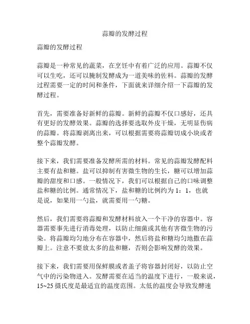 蒜瓣的发酵过程