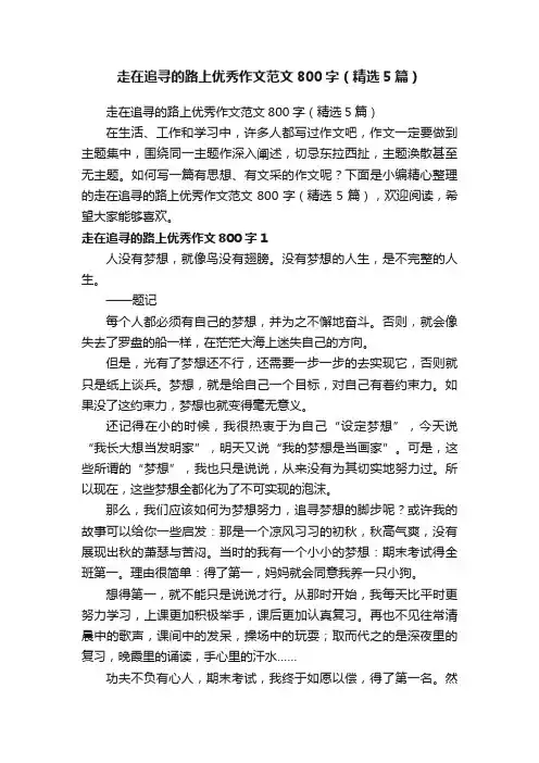 走在追寻的路上优秀作文范文800字（精选5篇）