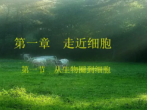 【新教材】人教版初中生物生物圈ppt优秀课件1
