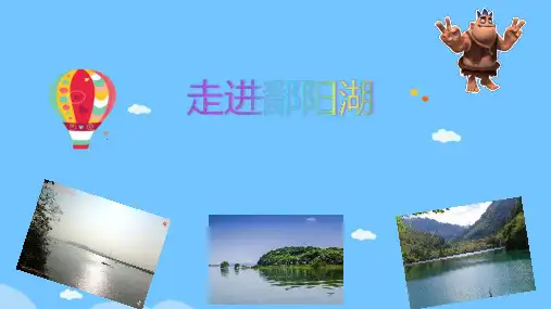 走进鄱阳湖正稿(PPT正版)