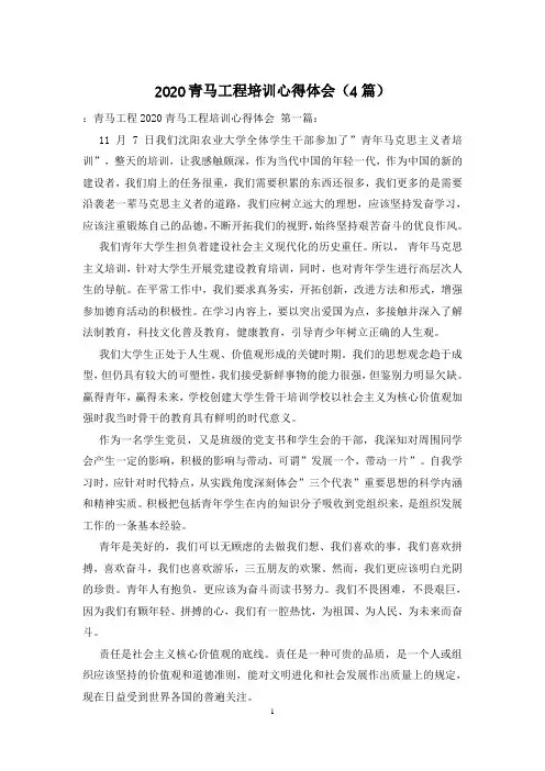 2020青马工程培训心得体会(4篇)
