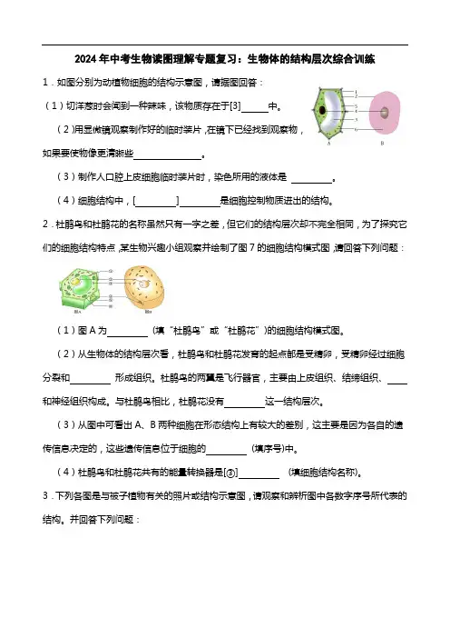 2024年中考生物读图理解专题复习：生物体的结构层次综合训练