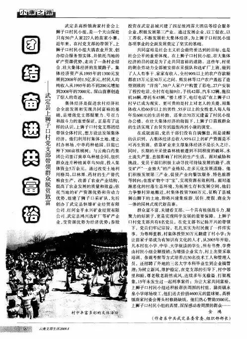 团结奋进共富裕——武定县上狮子口村党支部带领群众脱贫致富