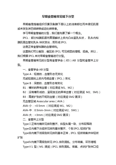 早期食管癌常见镜下分型