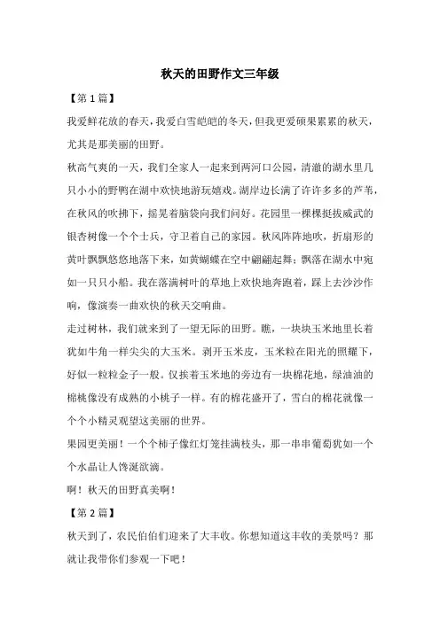 秋天的田野作文三年级