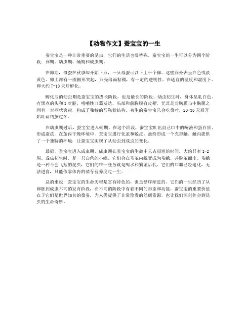 【动物作文】蚕宝宝的一生