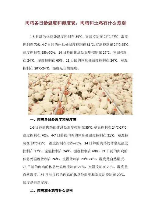 肉鸡各日龄温度和湿度表,肉鸡和土鸡有什么差别