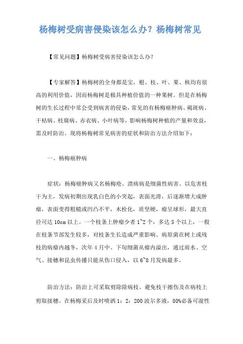杨梅树受病害侵染该怎么办？杨梅树常见病害的症状和防治方法