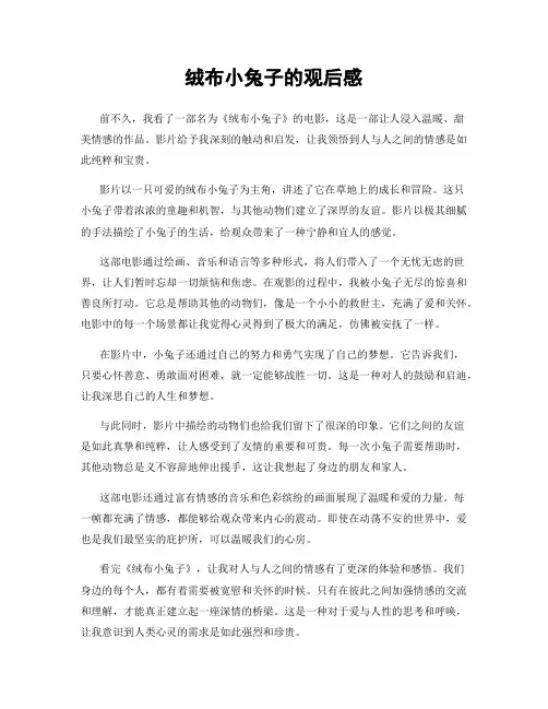 绒布小兔子的观后感