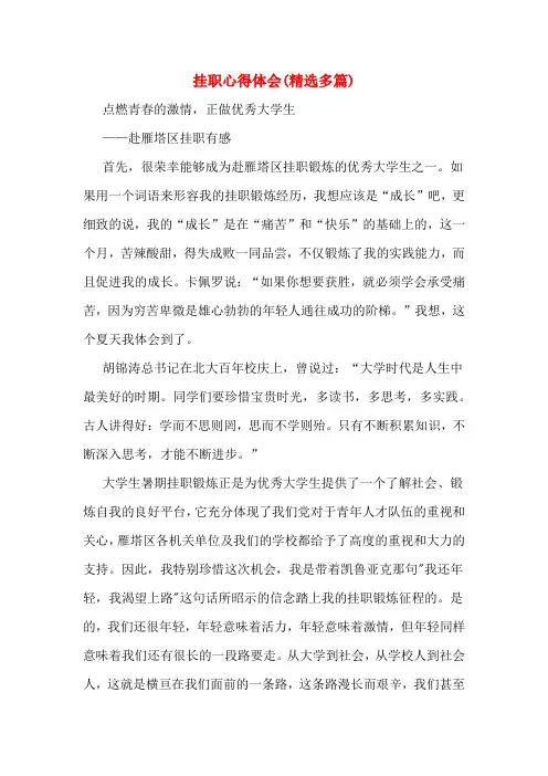 挂职心得体会(精选多篇)