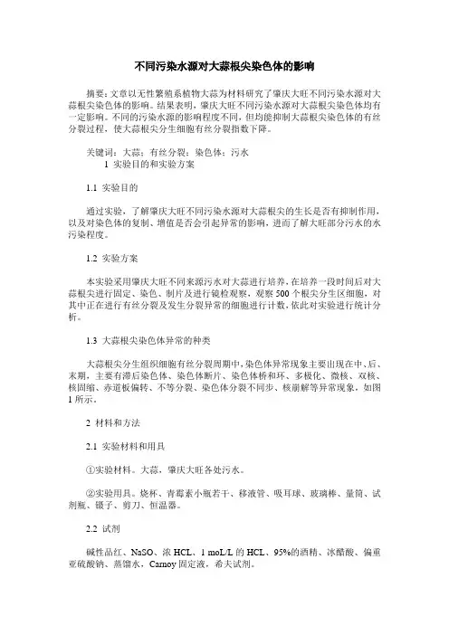 不同污染水源对大蒜根尖染色体的影响