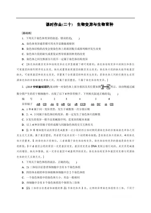 2021届山东省高考生物一轮复习作业：20 生物变异与生物育种