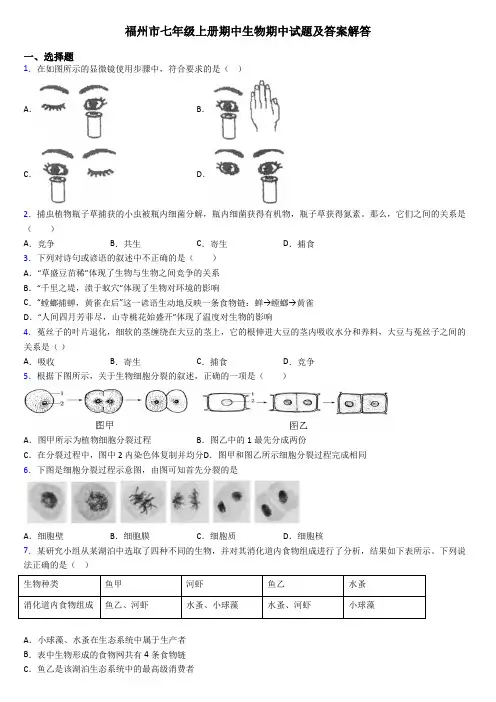 福州市七年级上册期中生物期中试题及答案解答
