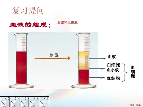 血细胞红细胞课件PPT22页