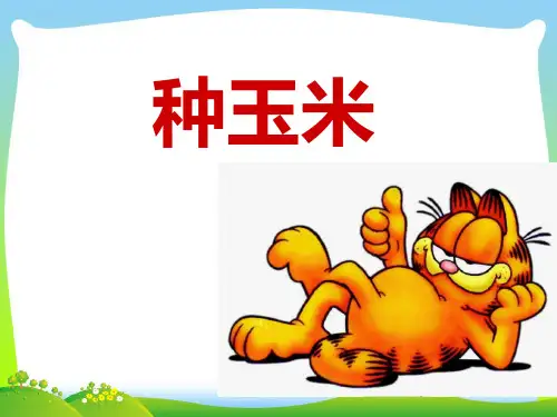 人教版二年级音乐上册：《种玉米》课件02