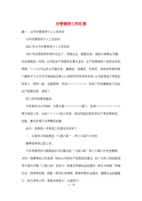 分管领导工作汇报