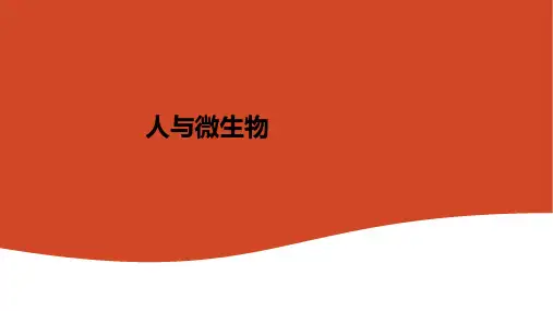 人与微生物ppt课件