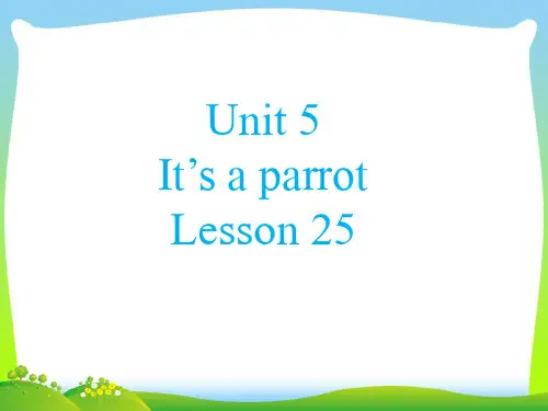 新人教精通版三年级英语下册 Unit 5 It%27s a parrot Lesson 25 课件2.ppt