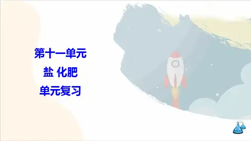 第十一单元 盐 化肥 单元复习课件 初中化学人教版九年级下册