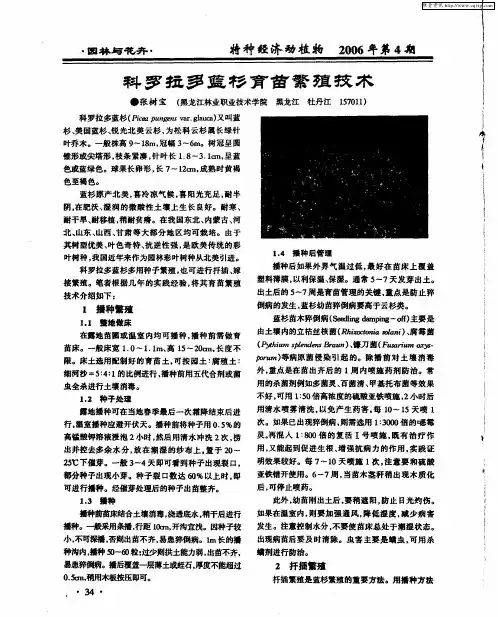科罗拉多蓝杉育苗繁殖技术