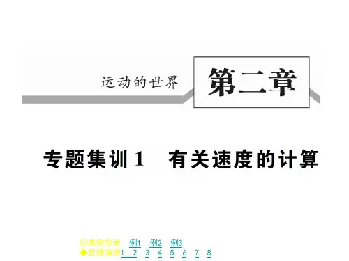 沪科版八年级物理上册作业课件：专题集训1 有关速度的计算(共16张PPT)