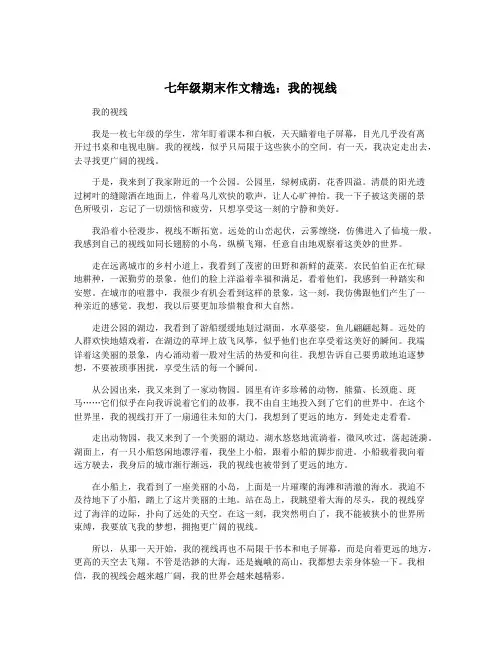 七年级期末作文精选：我的视线