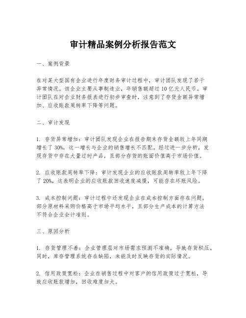审计精品案例分析报告范文