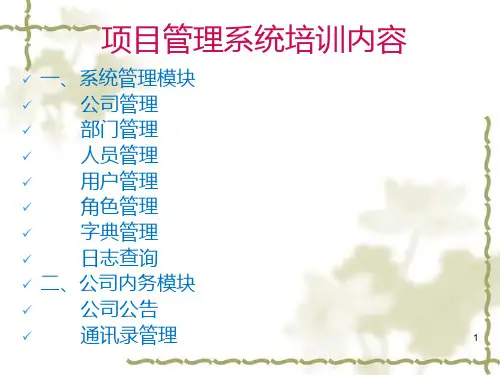 项目管理系统培训PPT课件