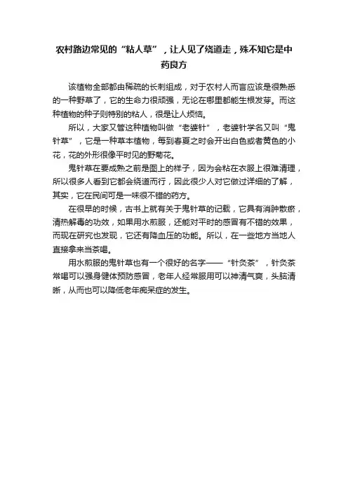 农村路边常见的“粘人草”，让人见了绕道走，殊不知它是中药良方