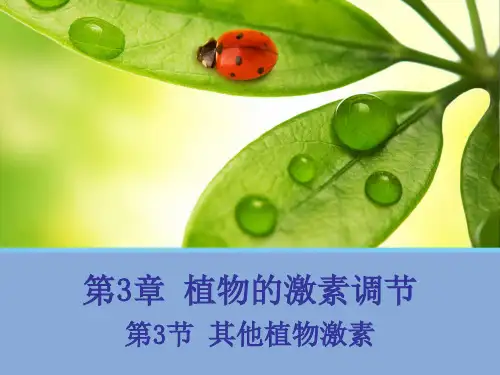 课件2：3.3 其他植物激素