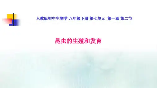人教版初中生物学八年级下册第七单元第一章第二节昆虫的生殖和发育公开课教学课件共16张PPT含四个视频
