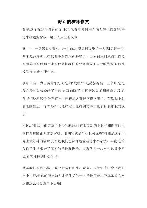 好斗的猫咪作文