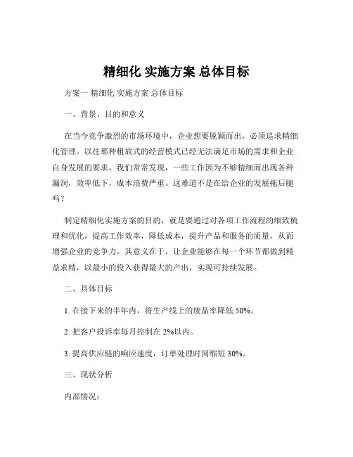 精细化 实施方案 总体目标