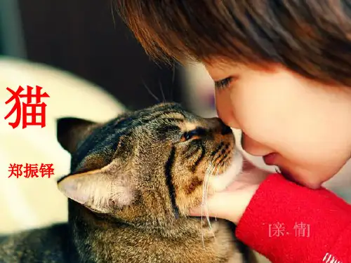 部编本七年级语文《猫》优质课公开课课件