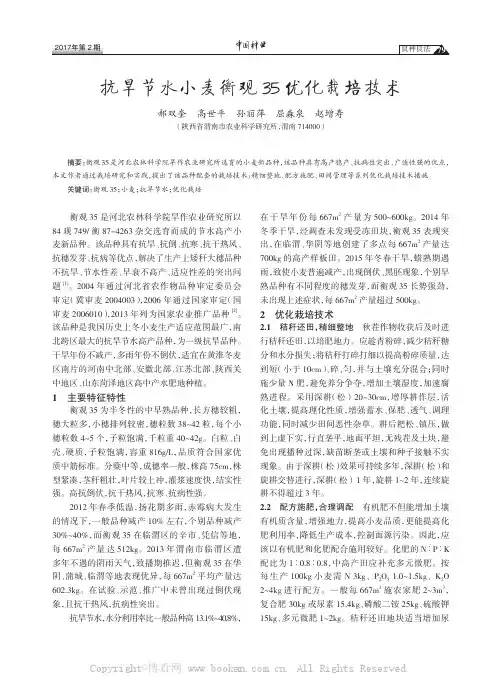 抗旱节水小麦衡观35优化栽培技术