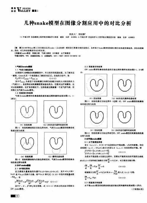 几种snake模型在图像分割应用中的对比分析