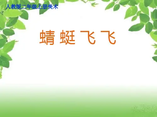 《蜻蜓飞飞》说课课件