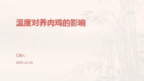 温度对养肉鸡的影响