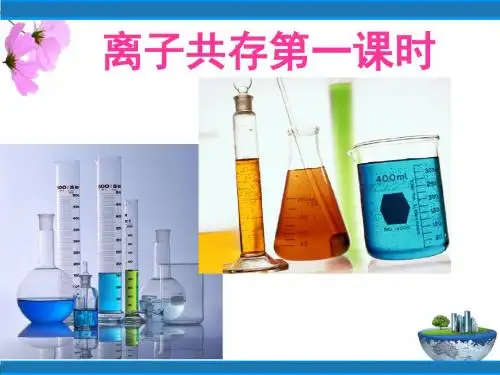 中考化学复习课件_离子共存第一课时 (共19张PPT)