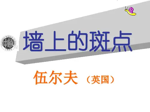 高三语文墙上的斑点2(新编201912)